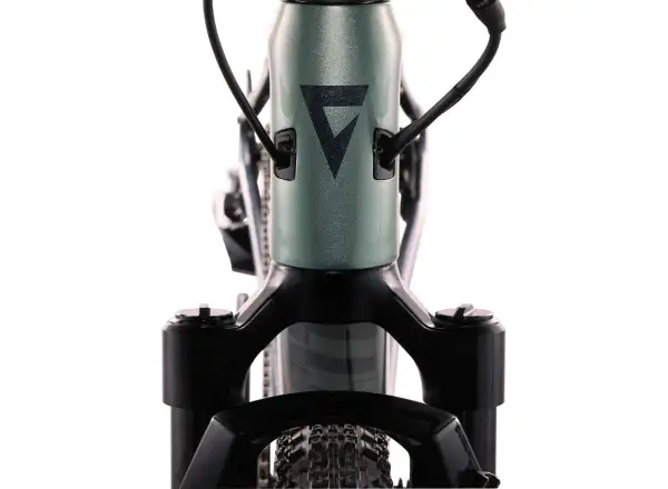 Giant Revolt X Advanced Pro 2 gravel bike Misty Forest