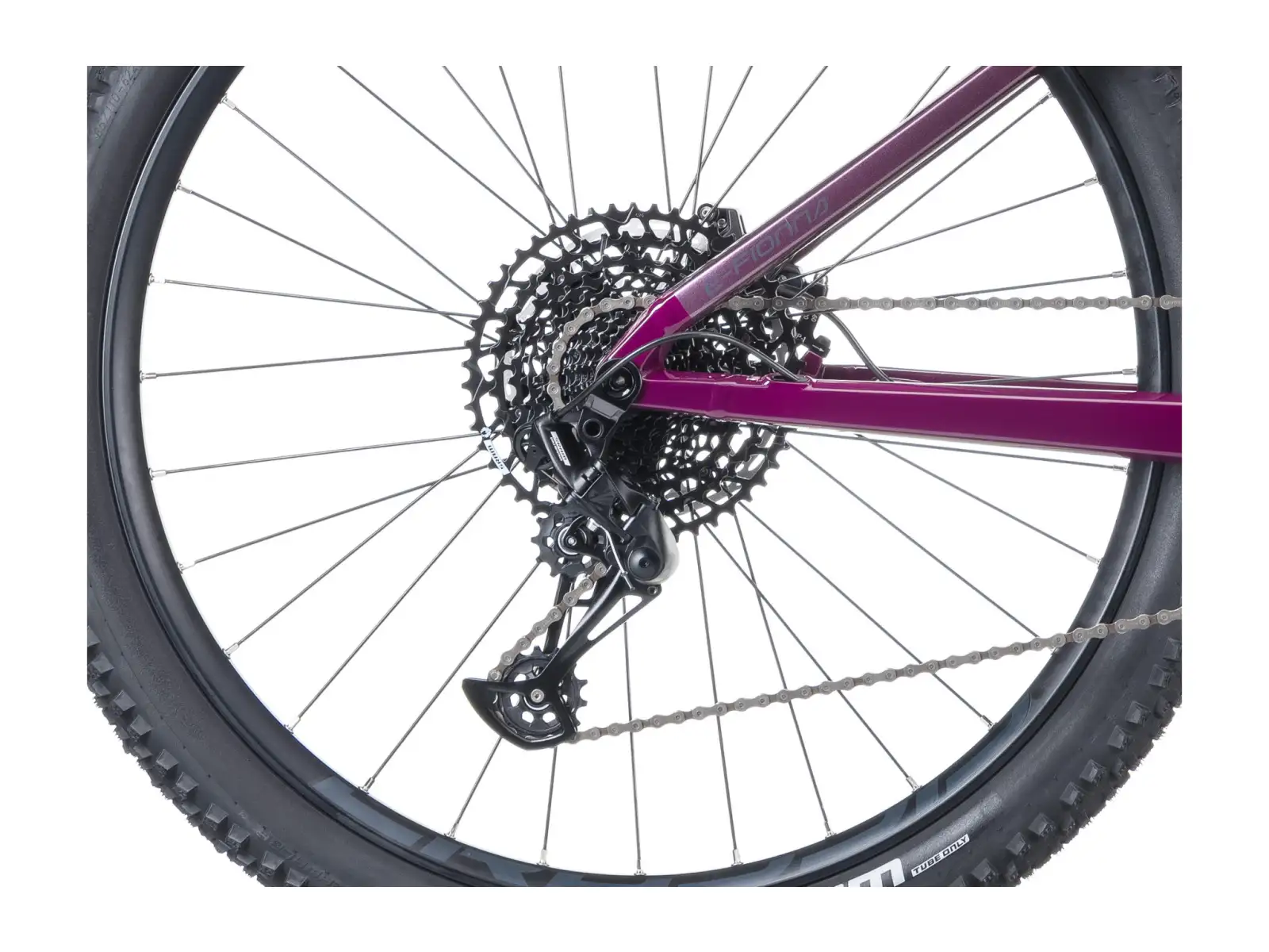 Crussis e-Fionna AX 9.12-M2S(600) horský elektrobicykel