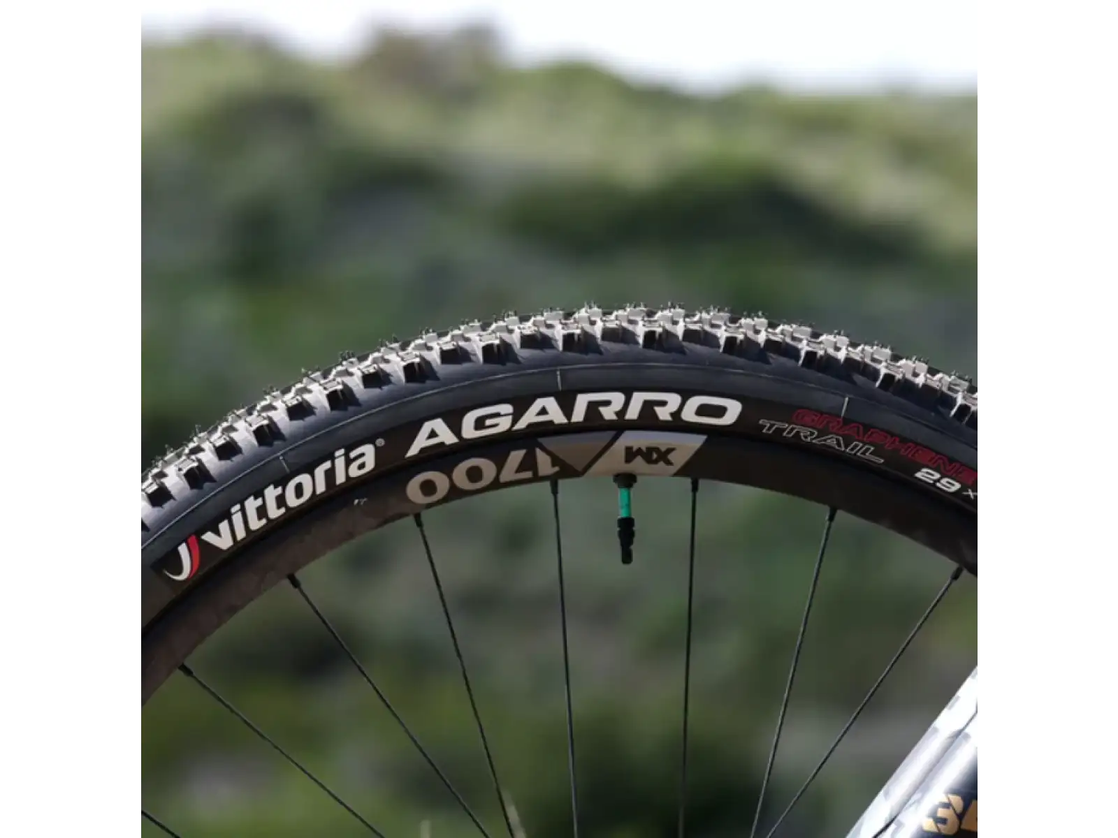Vittoria Agarro Trail 4C G2.0 29" MTB plášť kevlar antracit/black