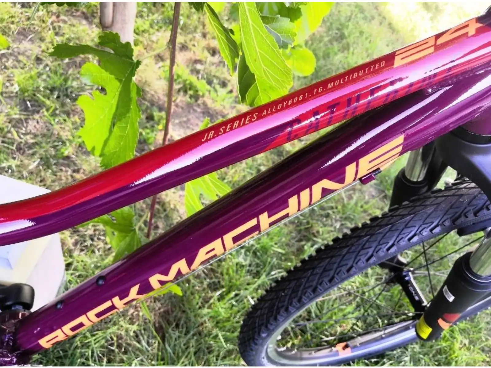 Rock Machine Catherine VB 24" horský bicykel gloss crimson/orange/crimson