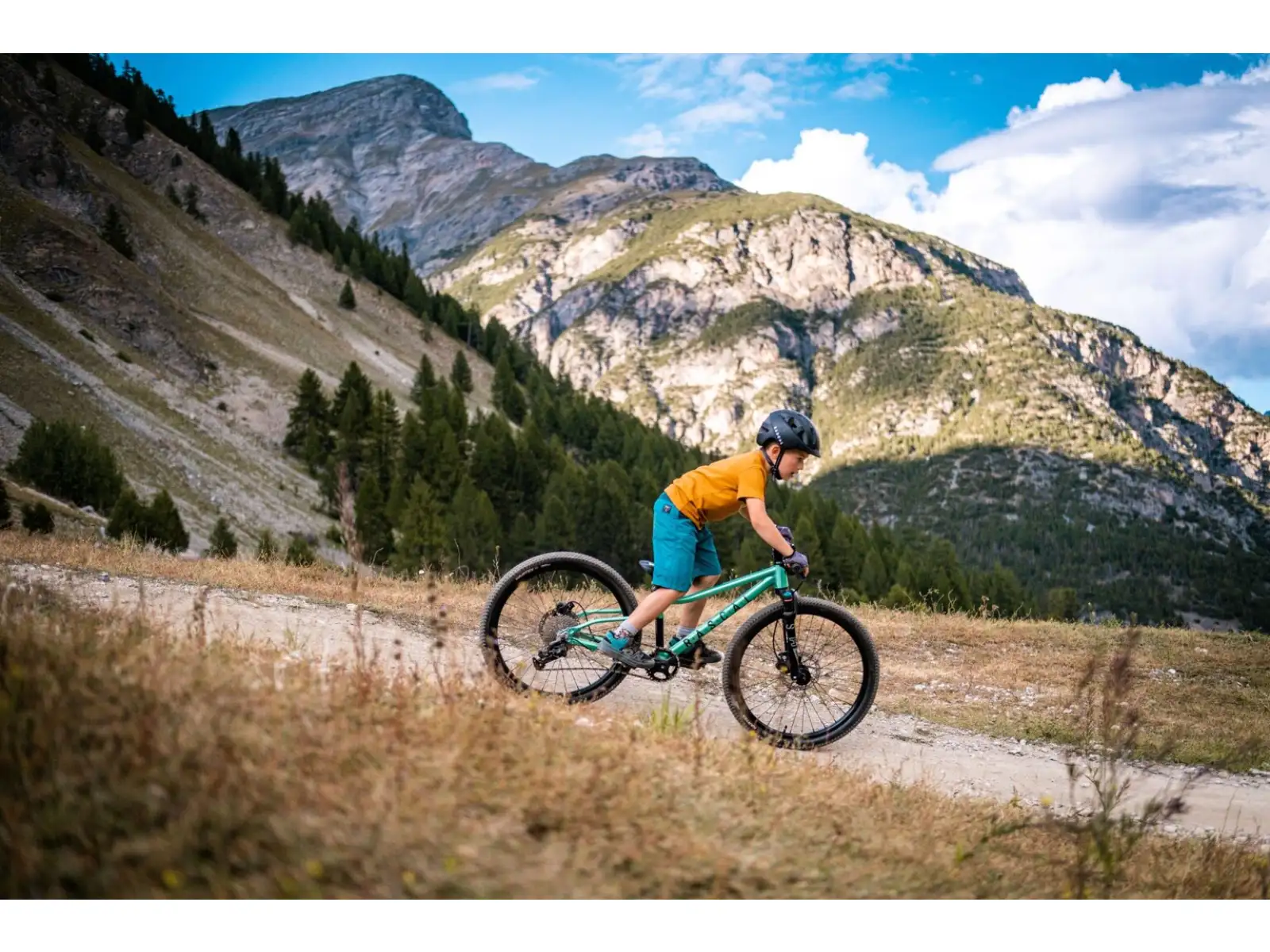 Rascal Wild 24 detský bicykel Emerald