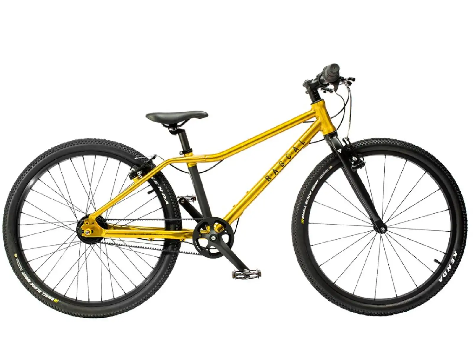 Rascal 24 Gold 7 sp. Shimano Nexus detský bicykel