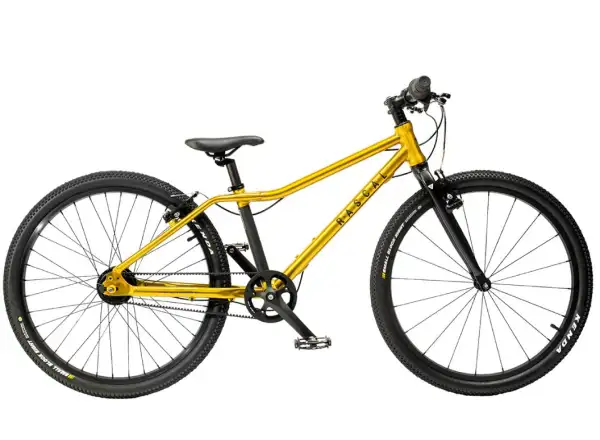 Rascal 24 Gold 7 sp. Shimano Nexus detský bicykel