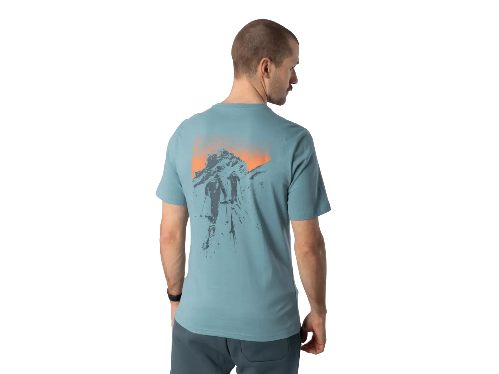 Dynafit Back Graphic Cotton pánske tričko krátky rukáv Smoke Blue/Approach