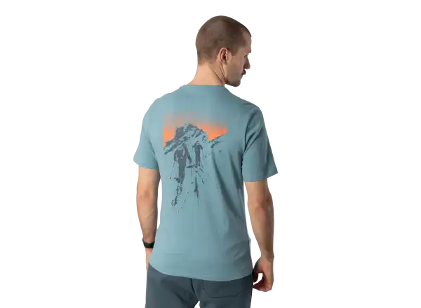 Dynafit Back Graphic Cotton pánske tričko krátky rukáv Smoke Blue/Approach