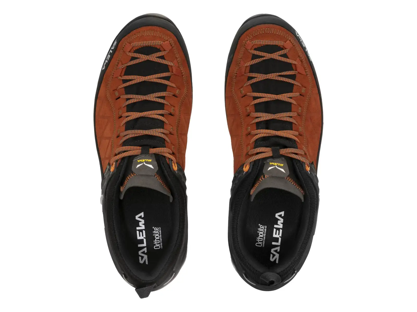 Salewa MTN Trainer 2 GTX MS pánske trekové topánky