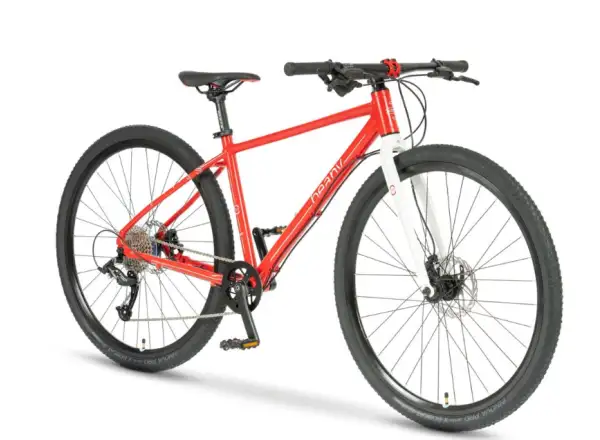 Beany Zero 29 detský bicykel Red