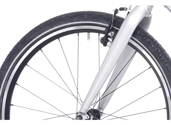 Superior F.L.Y. 24 VB detský bicykel Matte Silver