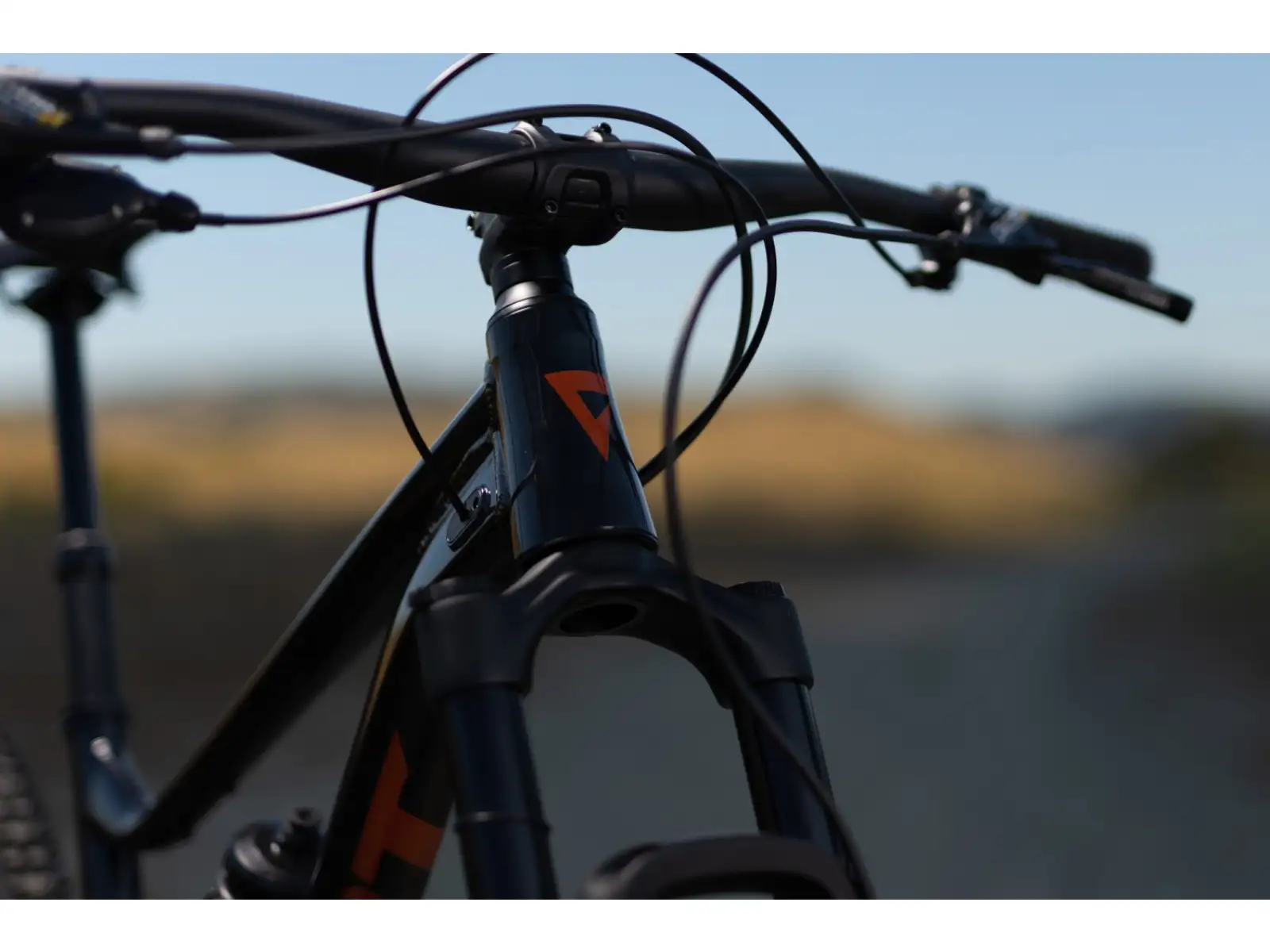 Giant Stance 29 1 celoodpružený bicykel Metallic Black