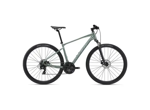 Gaint Roam 4 Disc trekingový bicykel Misty Forest
