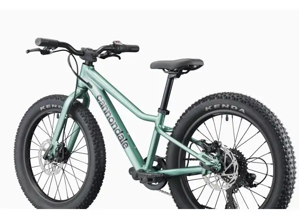 Cannondale Kids Trail Plus 20 detský bicykel Cactus Green