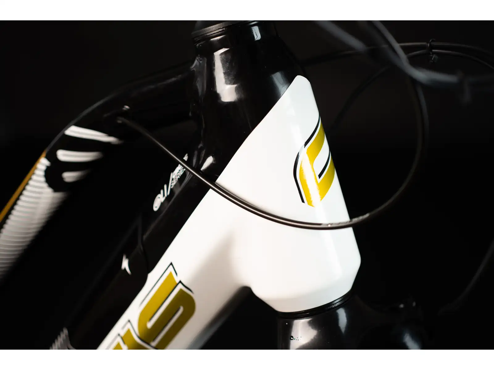 Crussis OLI Cross low 8.8-M krosový elektrobicykel