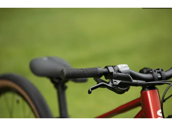 Superior TEAM 20 detský bicykel Gloss Brushed Alu / Red