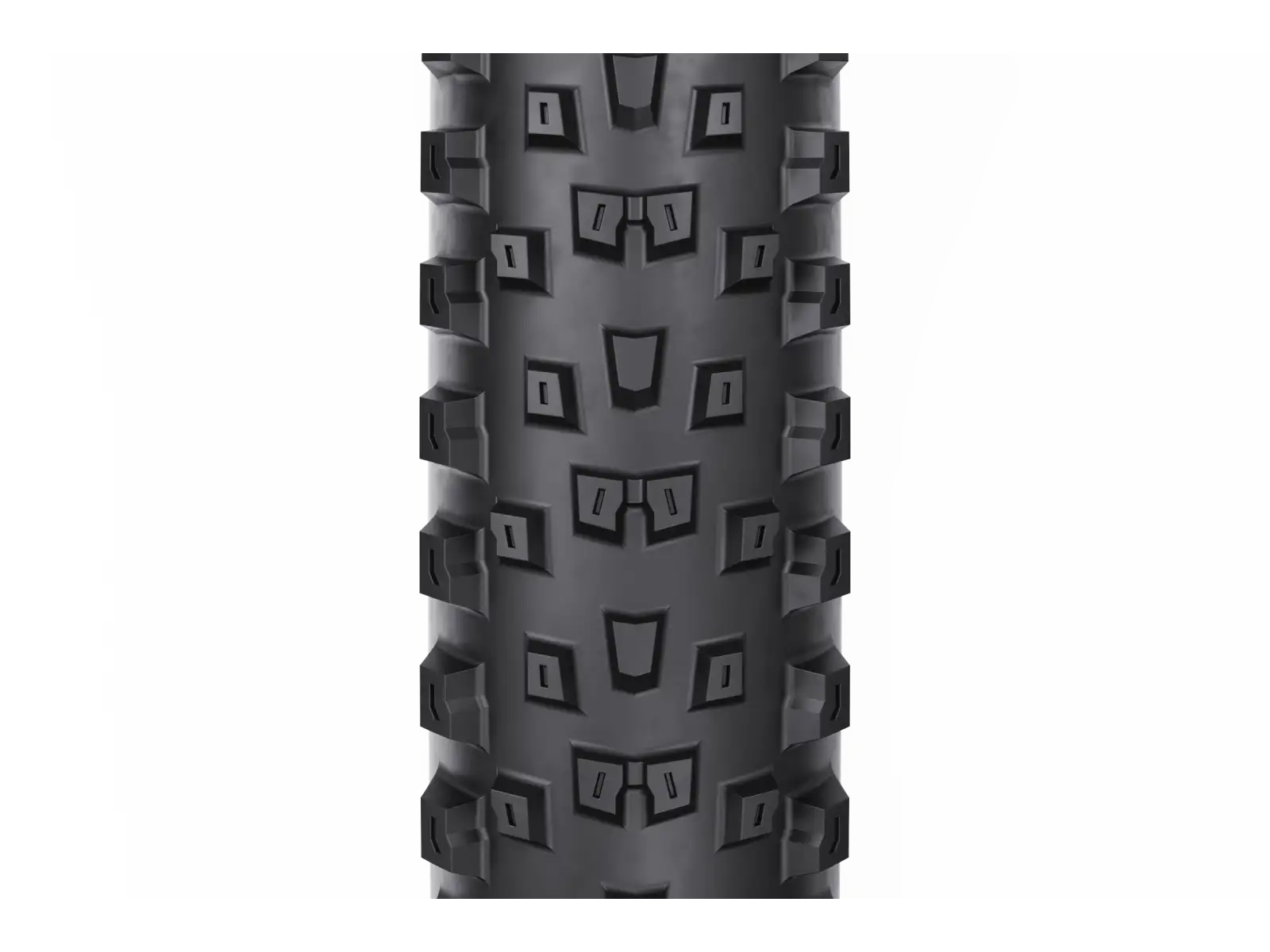 WTB Peacekeeper TCS Light Fast Rolling TriTec SG MTB plášť 29x2,40'' čierna/hnedá