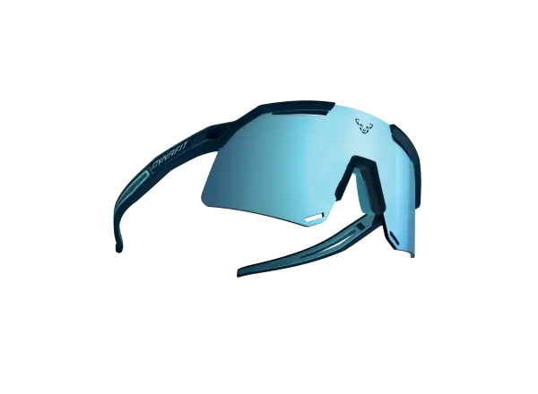 Dynafit Ultra Evo okuliare Blueberry/Storm Blue