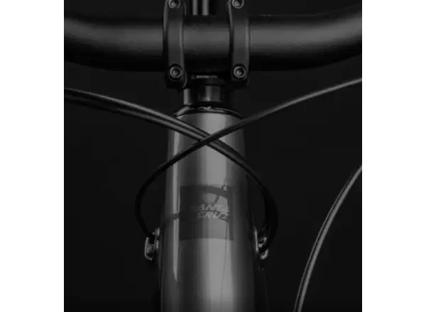 Santa Cruz Vala 1 AL horský elektrobicykel Grey