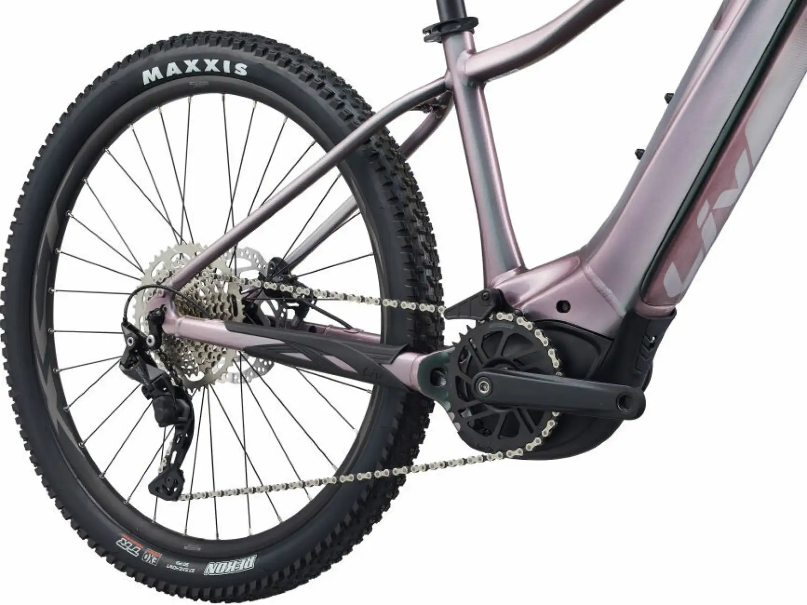 Liv Vall-E+ 2 29 Echeveria 2022 dámsky horský bicykel