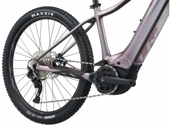 Liv Vall-E+ 2 29 Echeveria 2022 dámsky horský bicykel