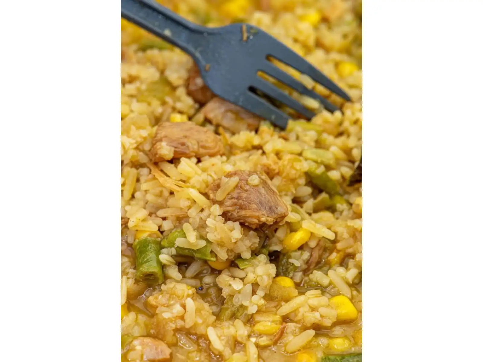 Summit To Eat dehydrované jedlo Vyprážaná ryža s kuracím mäsom a Teriyaki omáčkou 202 g