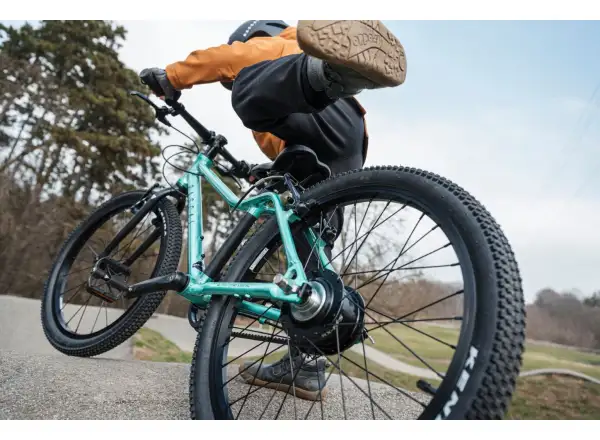 Rascal 20 Limited detský bicykel Emerald