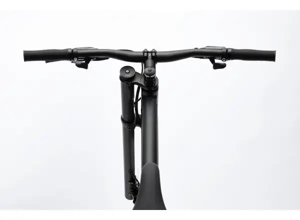 Cannondale Bad Boy 2 mestský bicykel Matte Black