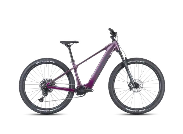 Crussis e-Fionna AX 9.12-M2S(600) horský elektrobicykel