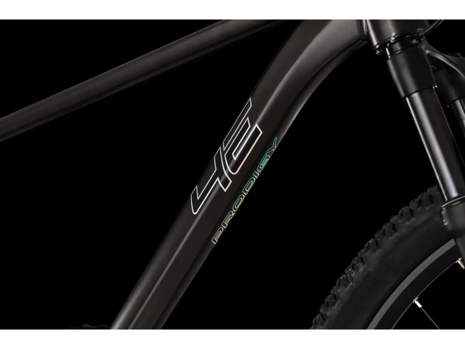 4Ever Prodigy Race 29" horský bicykel Black/hologram