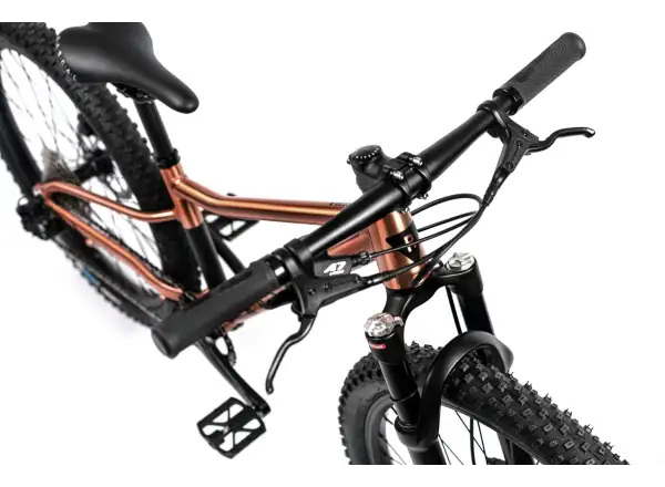 Rascal Wild 24 detské bicykel Bronze