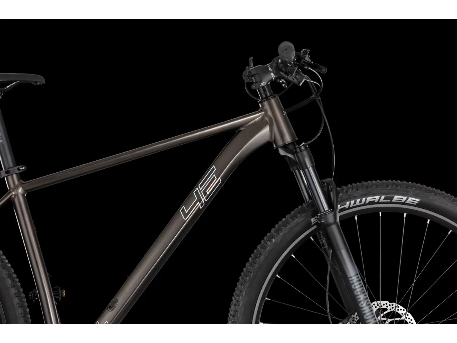 4Ever Prodigy Race 29" horský bicykel Black/hologram
