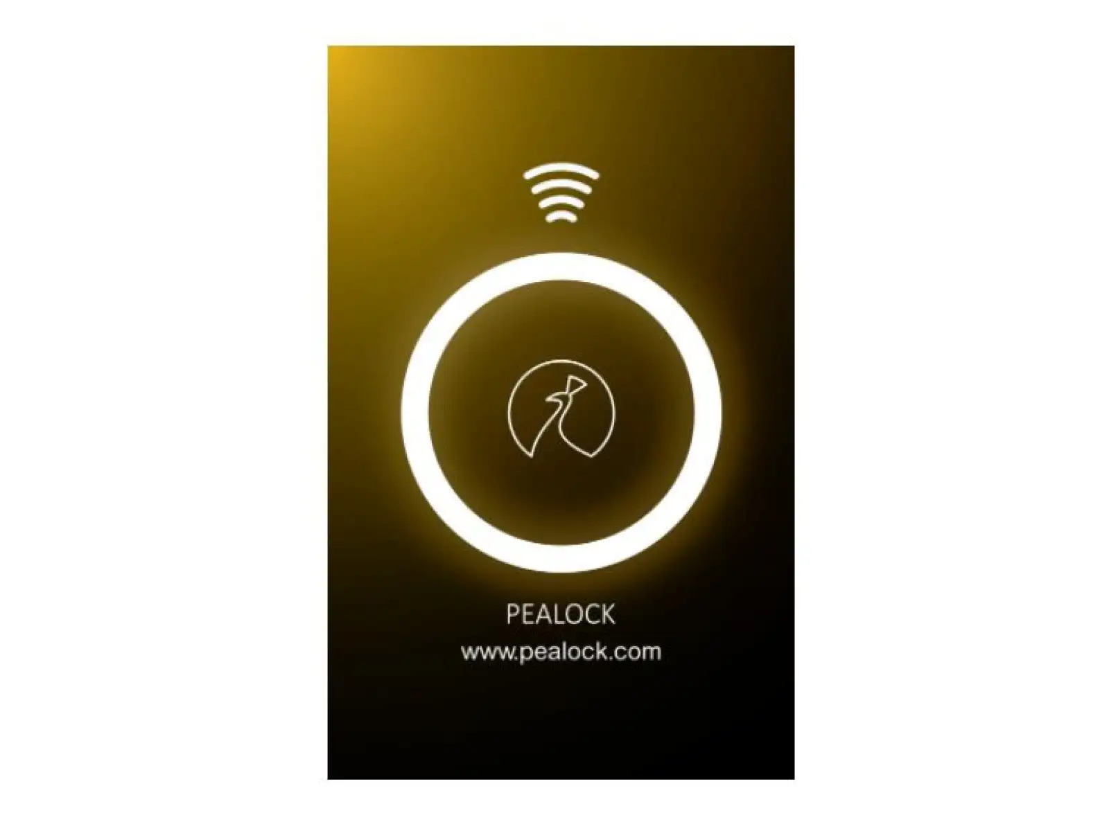 Pealock NFC karta čierna