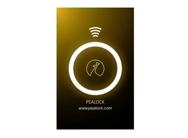 Pealock NFC karta čierna