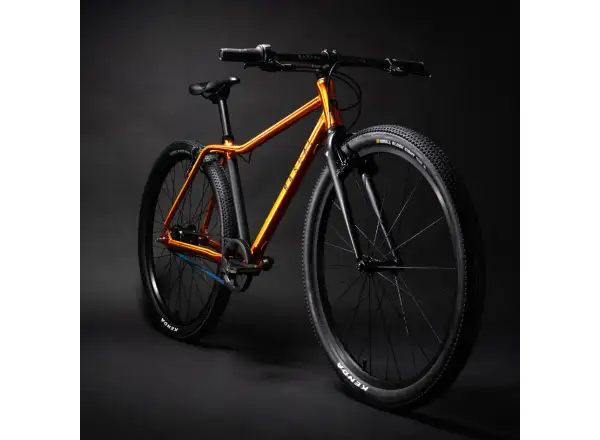 Rascal 26 Flame 3 sp. Shimano Nexus detský bicykel
