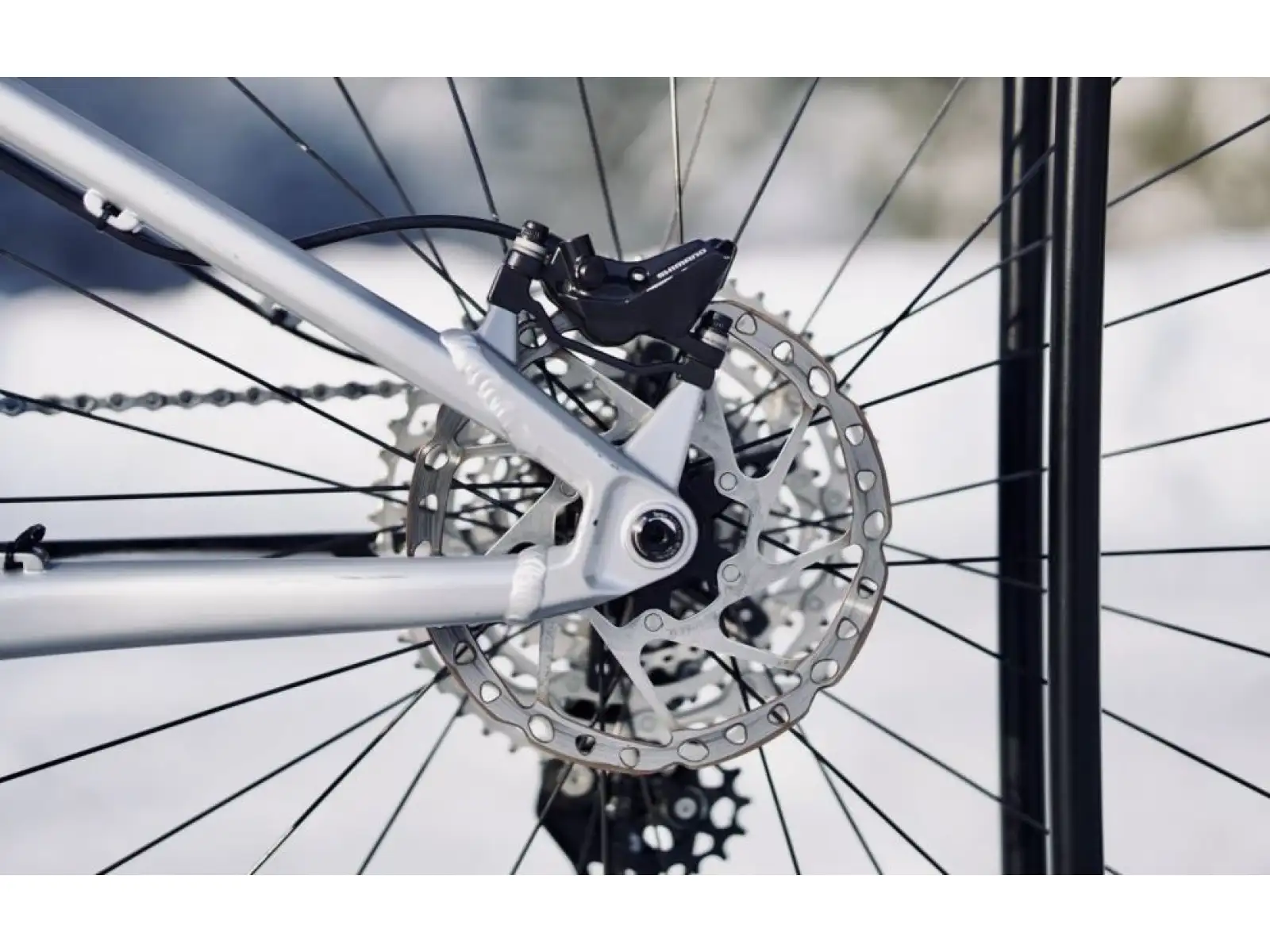 Horský bicykel Rock Machine Blizz e60-29 Gloss Silver/Black