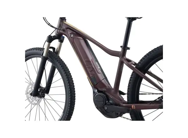 Liv Tempt E+ 1 29 dámsky horský elektrobicykel Figuier