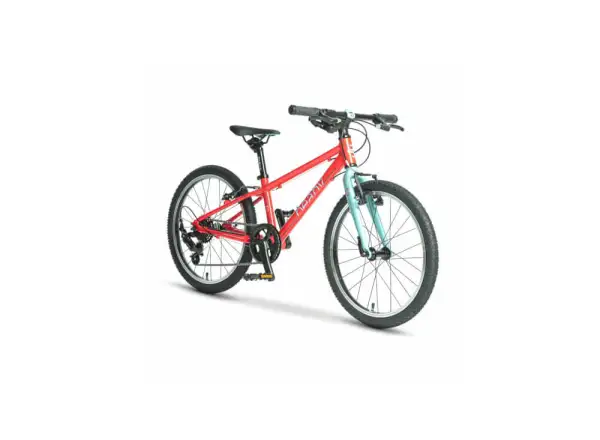 Beany Zero 20 detský bicykel Red