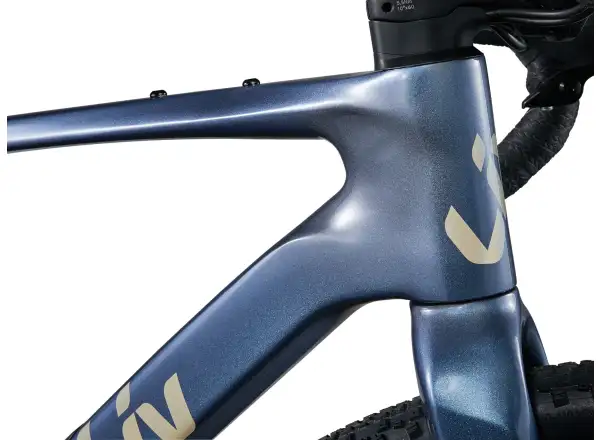 Liv Devote Advanced 1 dámsky gravel bicykel Ice Age