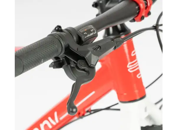 Beany Zero 29 detský bicykel Red