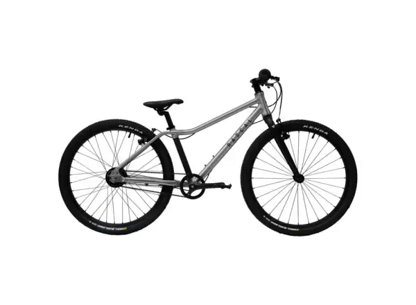 Rascal 24 Titan 3 sp. Shimano Nexus detský bicykel