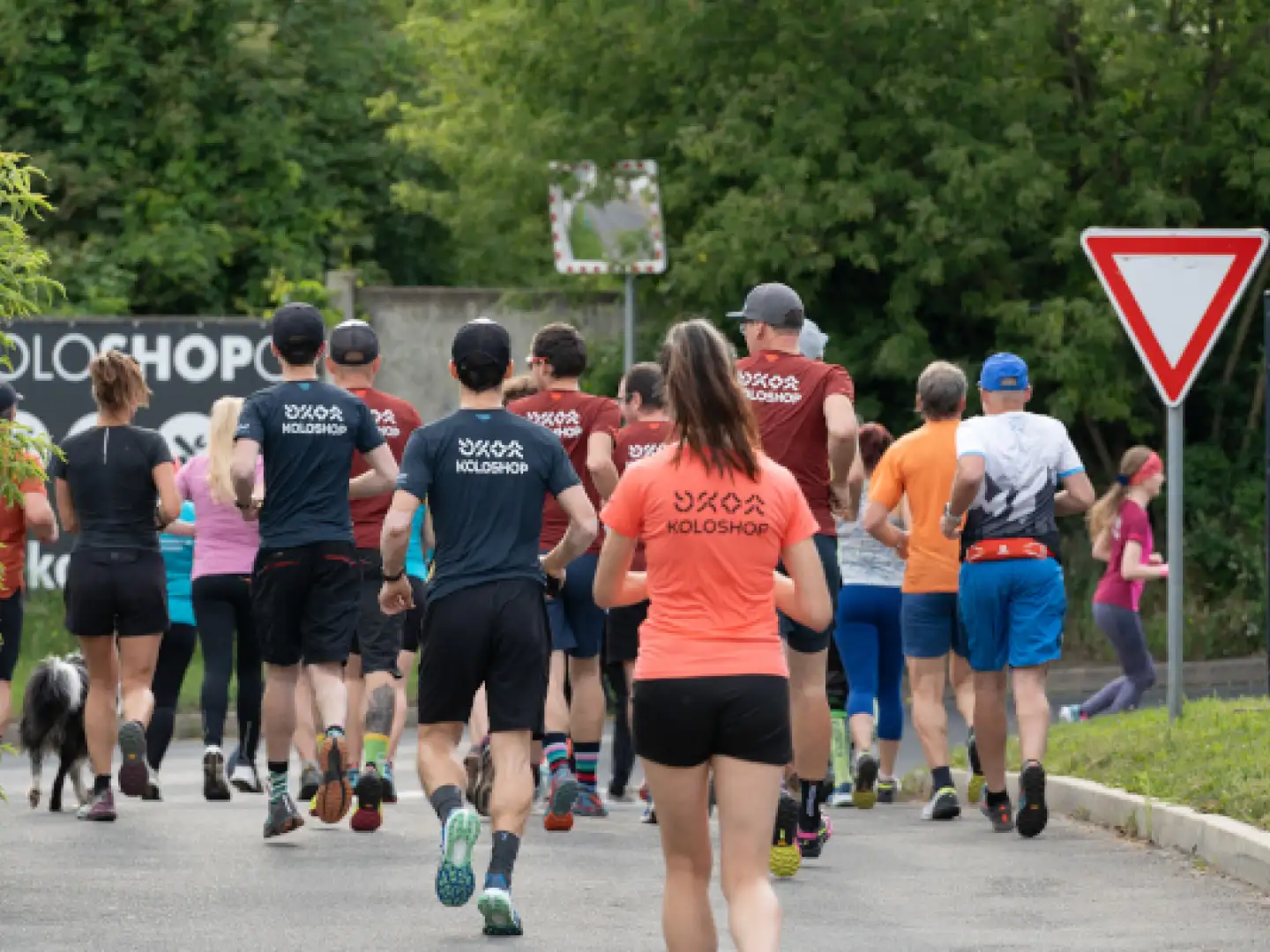 Běh a triatlon