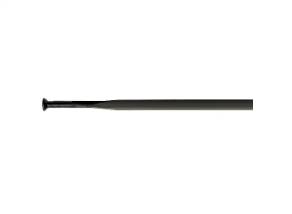 DT Swiss Aerolite 2,0/2,3/2,0 Straight Pull drôt čierny 289 mm