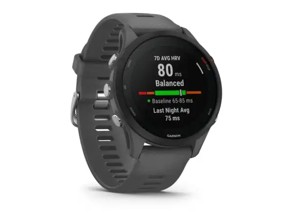 Garmin Forerunner 255 inteligentné hodinky Slate Gray