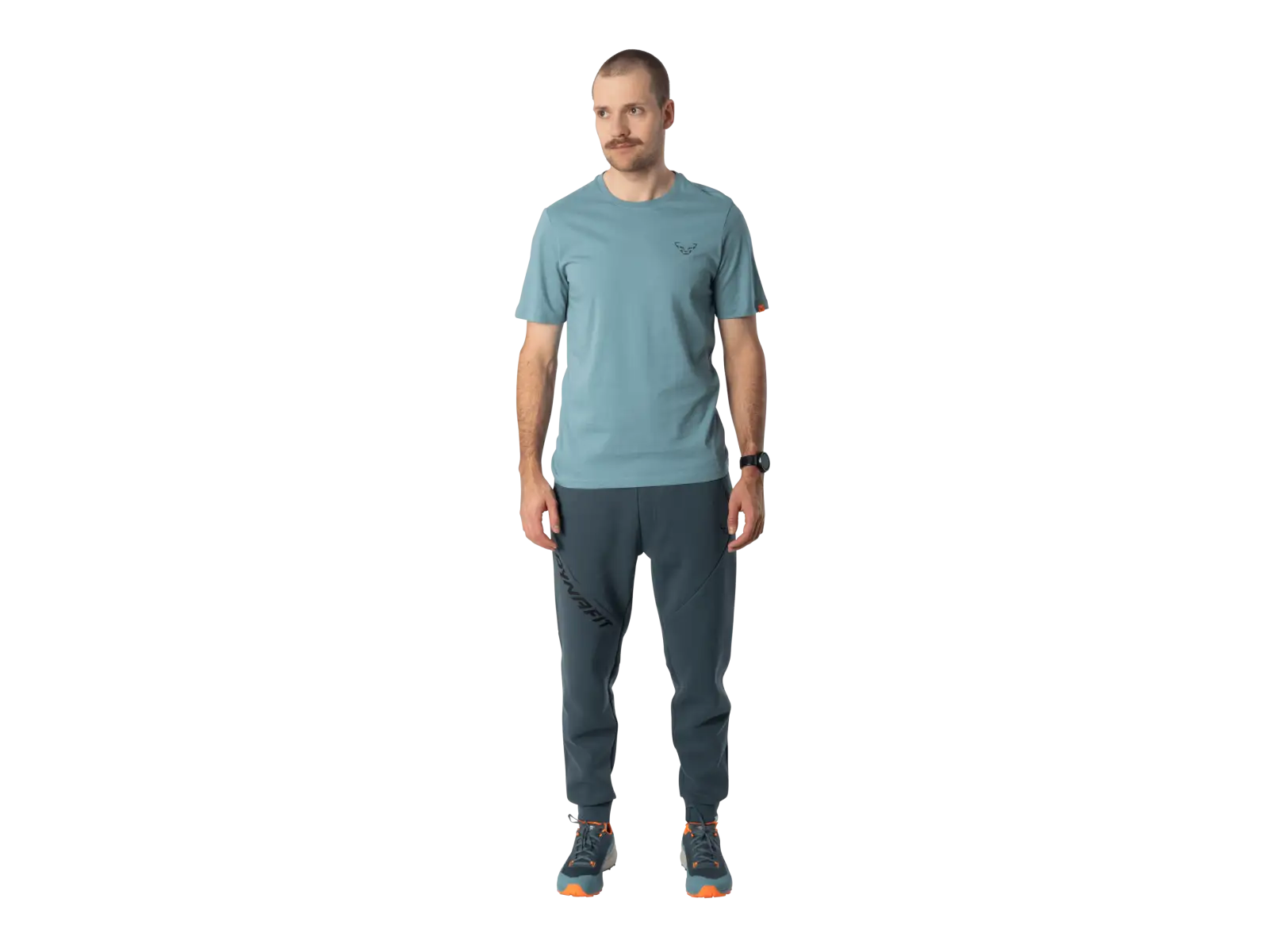 Dynafit Back Graphic Cotton pánske tričko krátky rukáv Smoke Blue/Approach