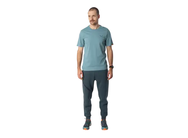 Dynafit Back Graphic Cotton pánske tričko krátky rukáv Smoke Blue/Approach