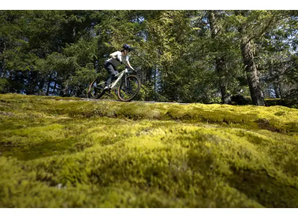 Liv Embolden 2026 horský bicykel Pale Moss