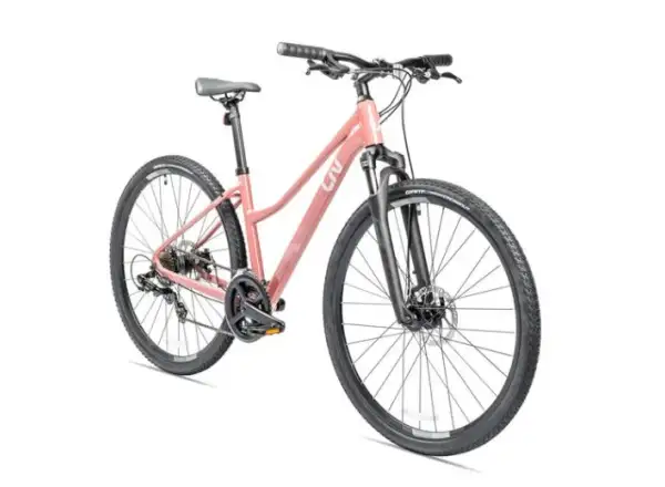Liv Rove 4 DD trekingový bicykel terra roza