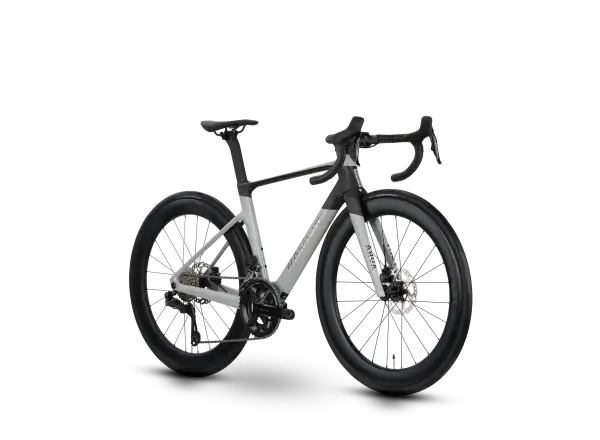 Raymon Arva Pro cestný bicykel Grey/Carbon