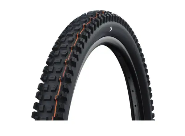 Schwalbe Albert Gravity Pro 29" MTB plášť kevlar Black