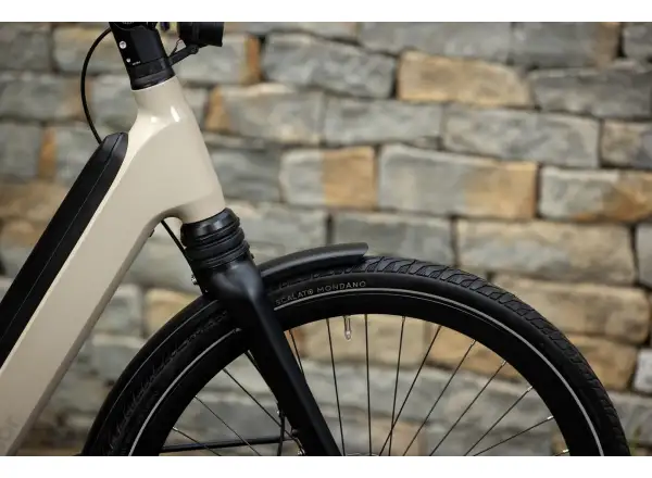 Superior eWAY 6.45 mestský elektrobicykel Gloss Dust
