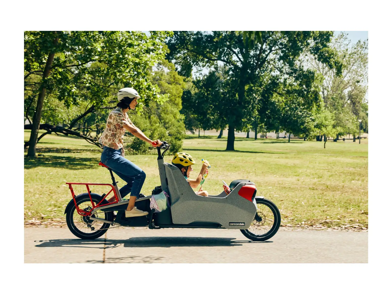 Cannondale Wonderwagen NEO 2 mestský elektrobicykel GRY
