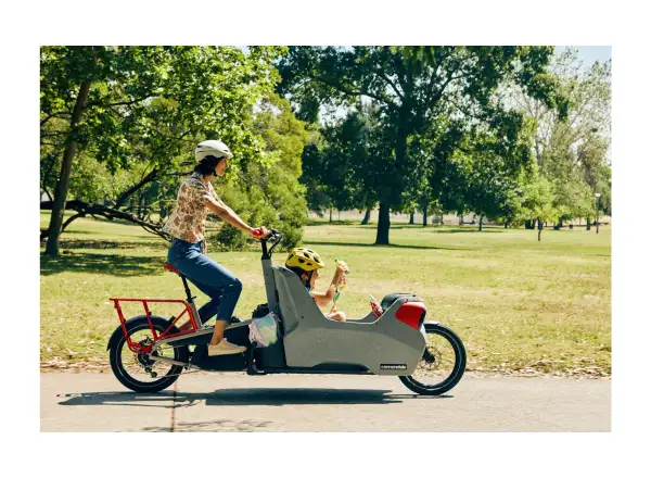 Cannondale Wonderwagen NEO 2 mestský elektrobicykel GRY